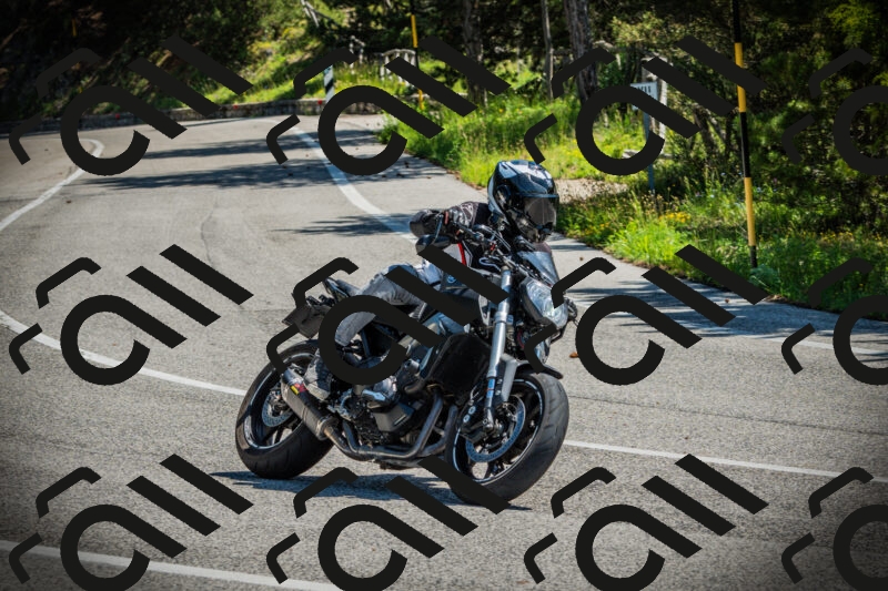 202506021107-DSC03294_c1_