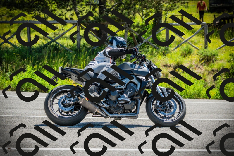 202506021107-DSC03295_c1_