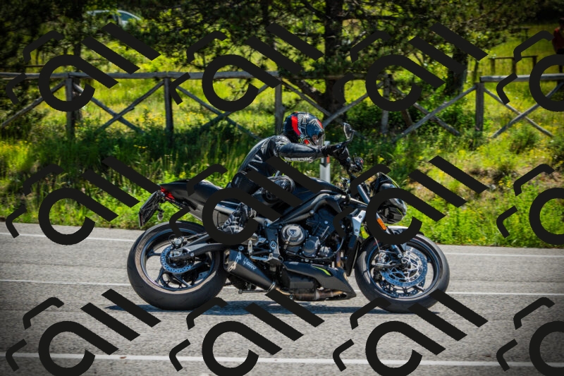 202506021107-DSC03296_c1_