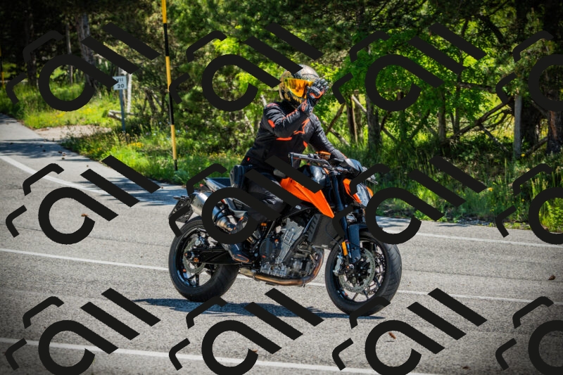 202506021107-DSC03298_c1_