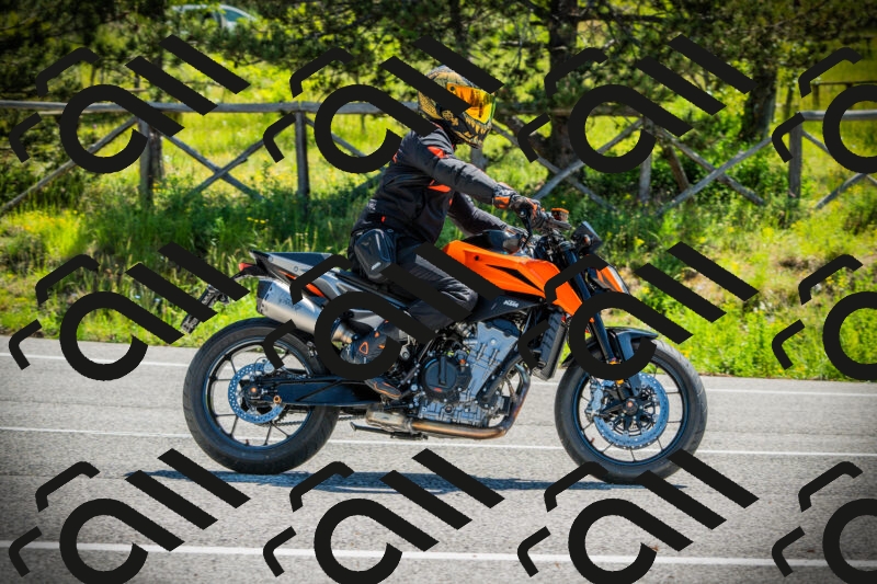 202506021107-DSC03299_c1_