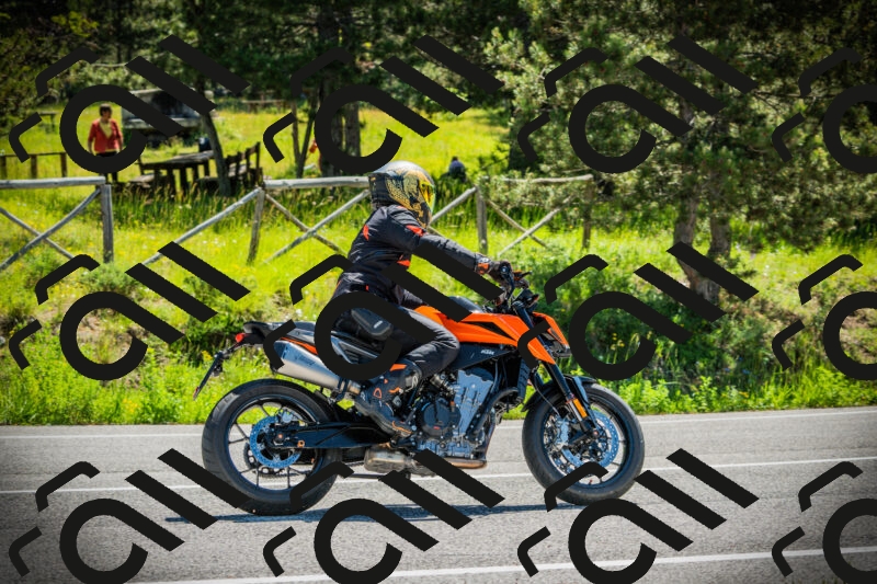 202506021107-DSC03300_c1_