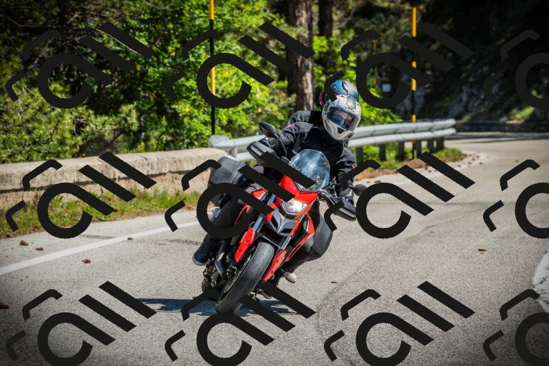 202506021108-DSC03308_c1_