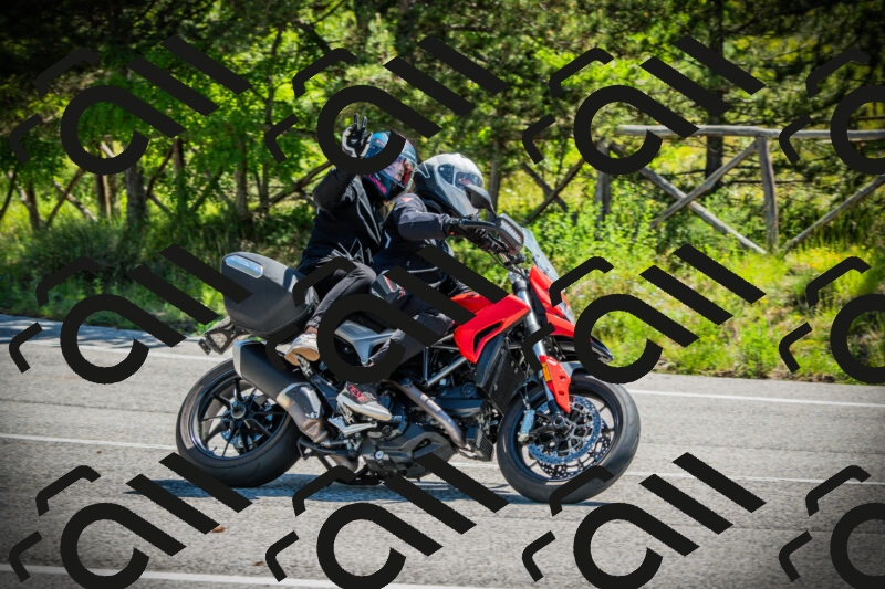 202506021108-DSC03309_c1_