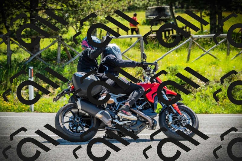 202506021108-DSC03310_c1_