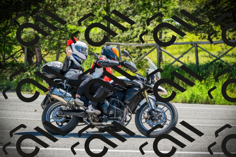 202506021108-DSC03313_c1_