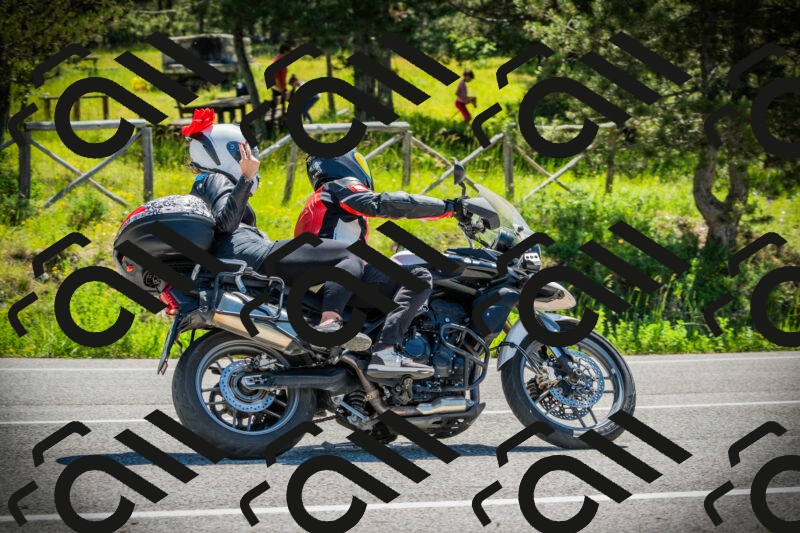 202506021108-DSC03314_c1_