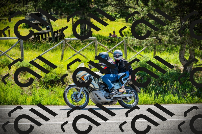 202506021109-DSC03322_c1_