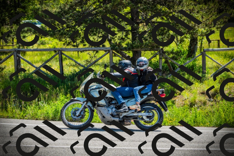 202506021109-DSC03323_c1_