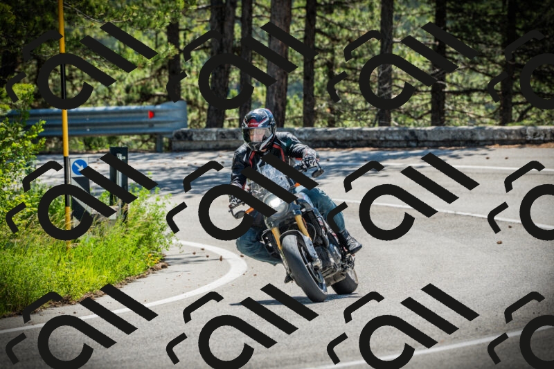 202506021109-DSC03328_c1_