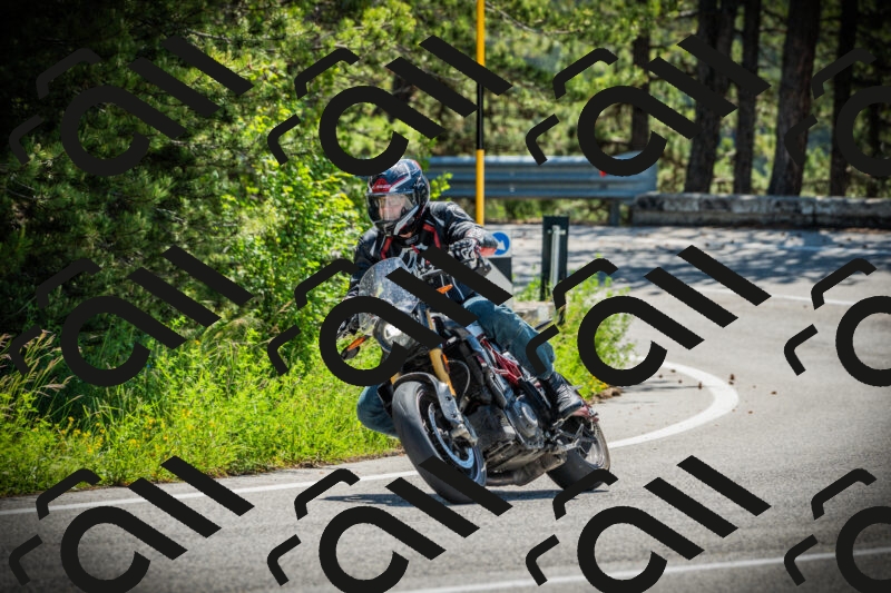 202506021109-DSC03329_c1_