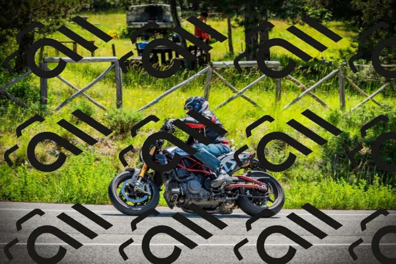 202506021109-DSC03330_c1_