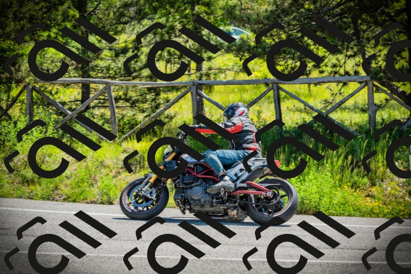 202506021109-DSC03331_c1_