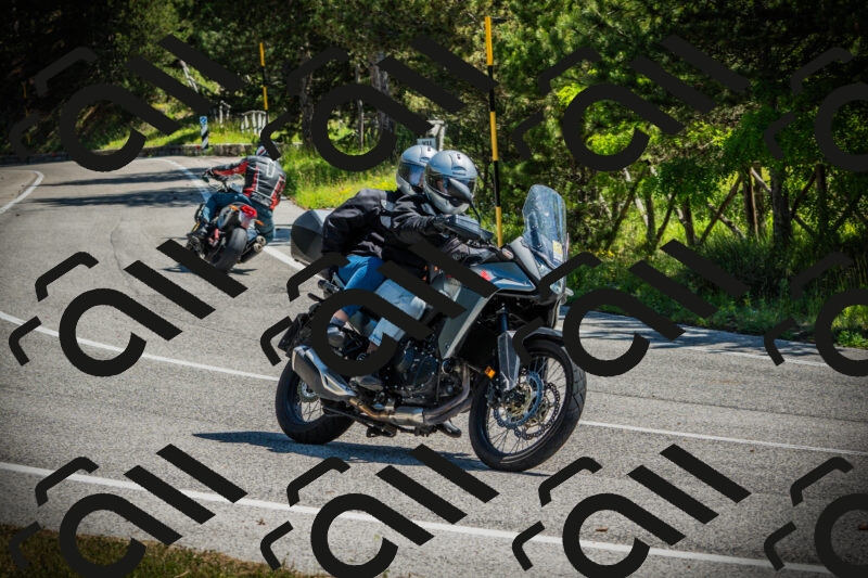 202506021110-DSC03332_c1_