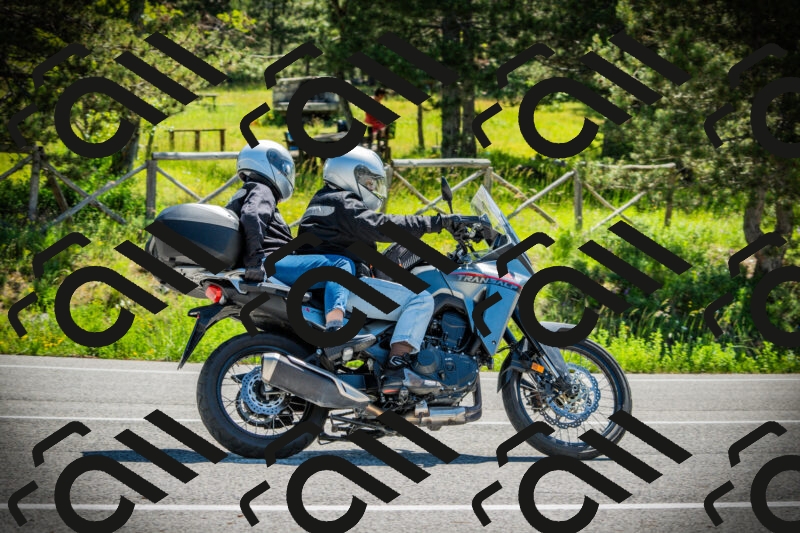 202506021110-DSC03333_c1_