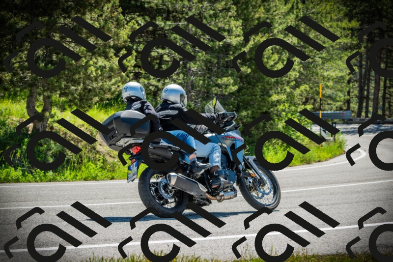 202506021110-DSC03334_c1_