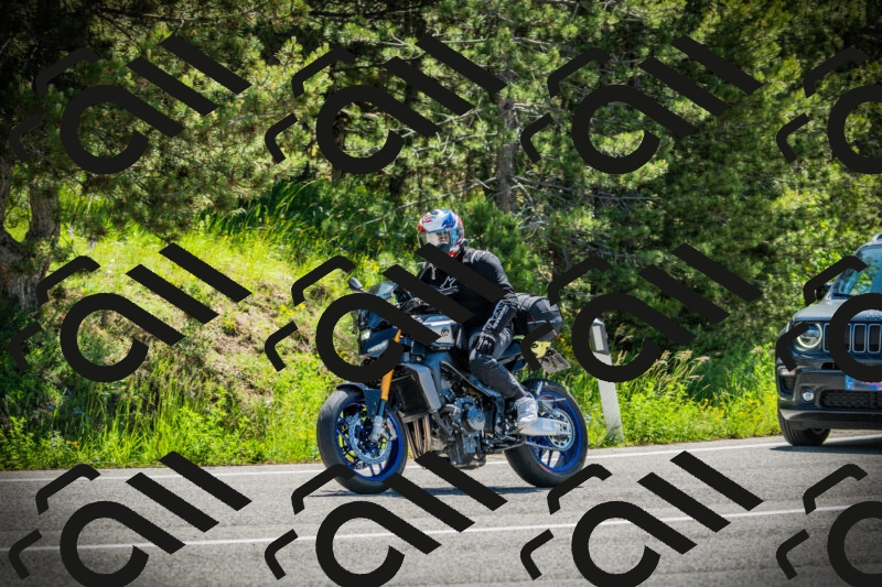 202506021110-DSC03338_c1_