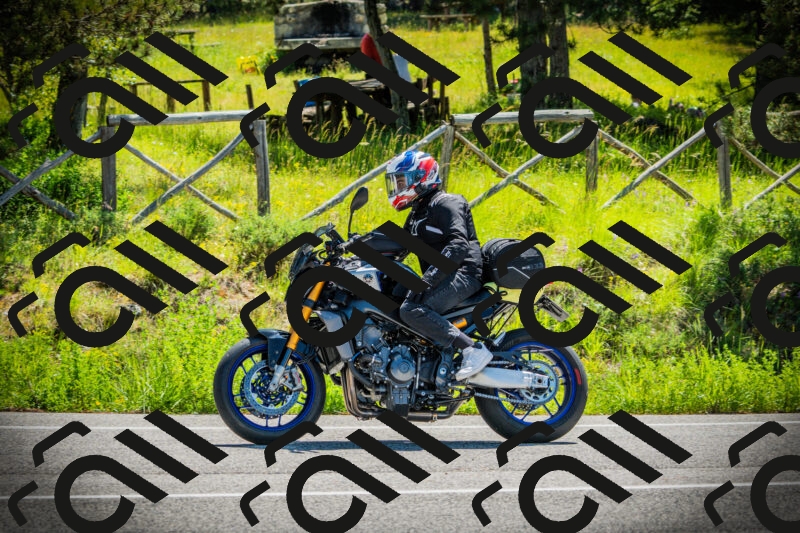 202506021110-DSC03339_c1_