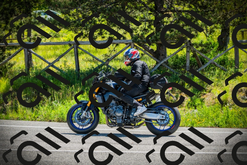 202506021110-DSC03340_c1_