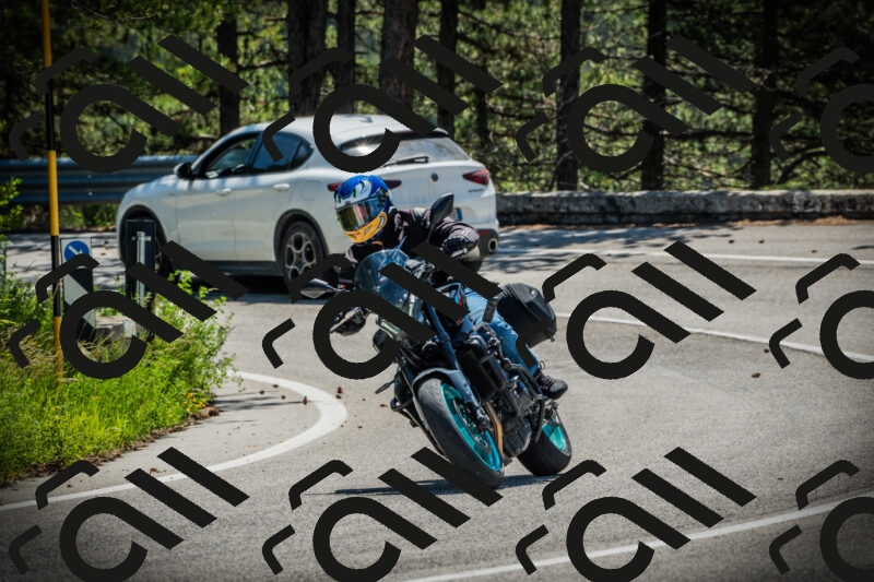 202506021110-DSC03341_c1_