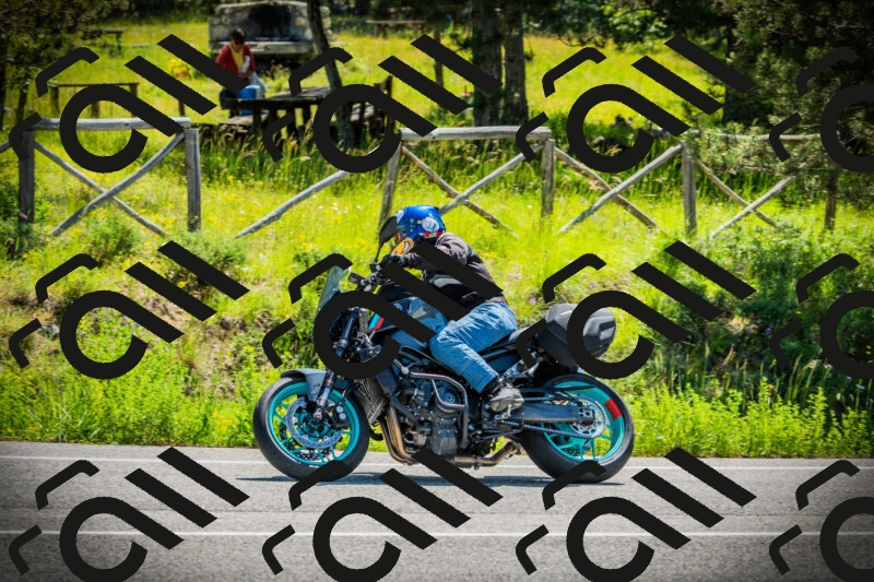 202506021110-DSC03342_c1_