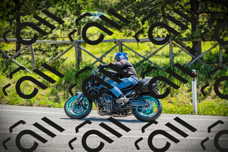 202506021110-DSC03343_c1_