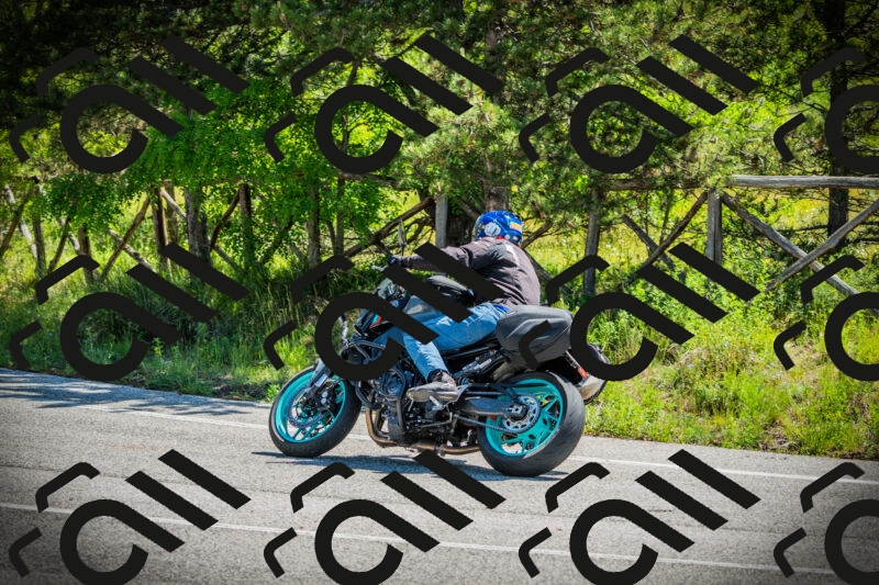 202506021110-DSC03344_c1_