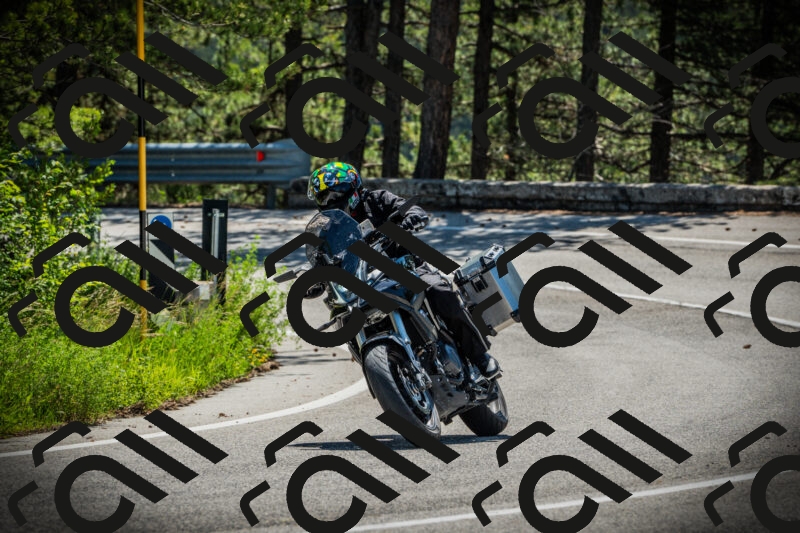 202506021110-DSC03346_c1_