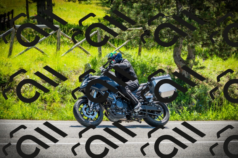 202506021110-DSC03347_c1_