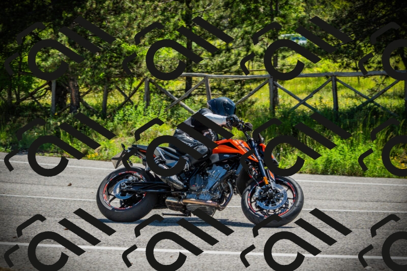 202506021111-DSC03354_c1_