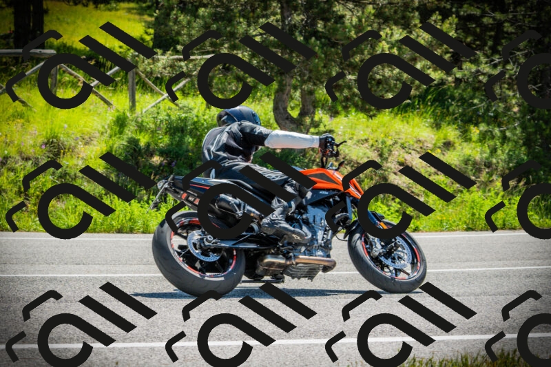 202506021111-DSC03355_c1_