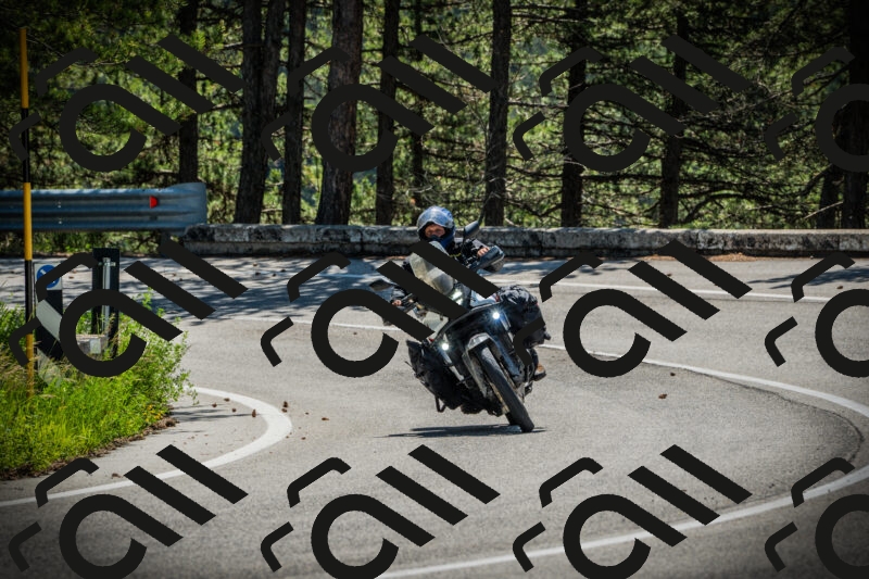 202506021112-DSC03363_c1_