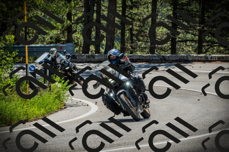 202506021112-DSC03364_c1_