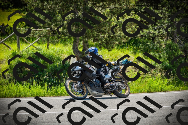 202506021112-DSC03365_c1_