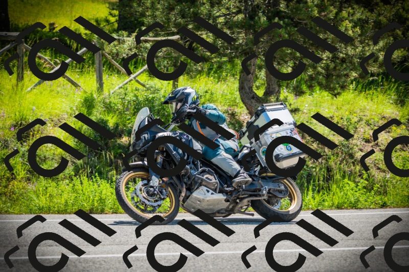 202506021112-DSC03367_c1_