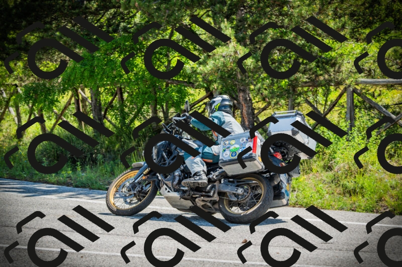 202506021112-DSC03369_c1_