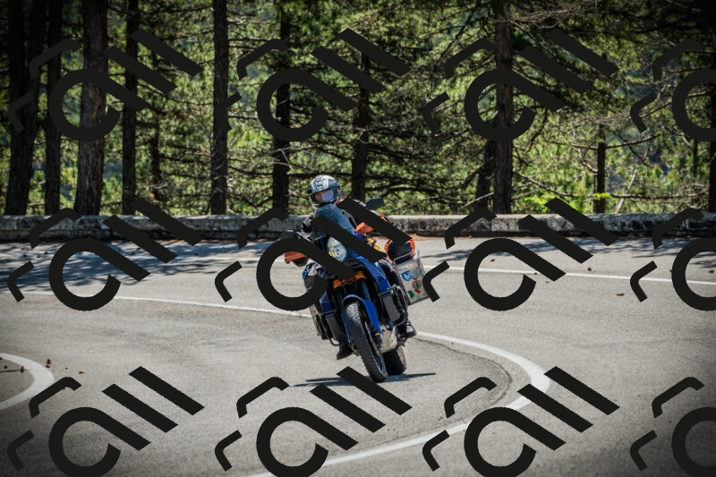 202506021113-DSC03370_c1_