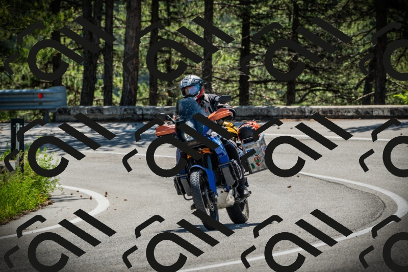 202506021113-DSC03371_c1_