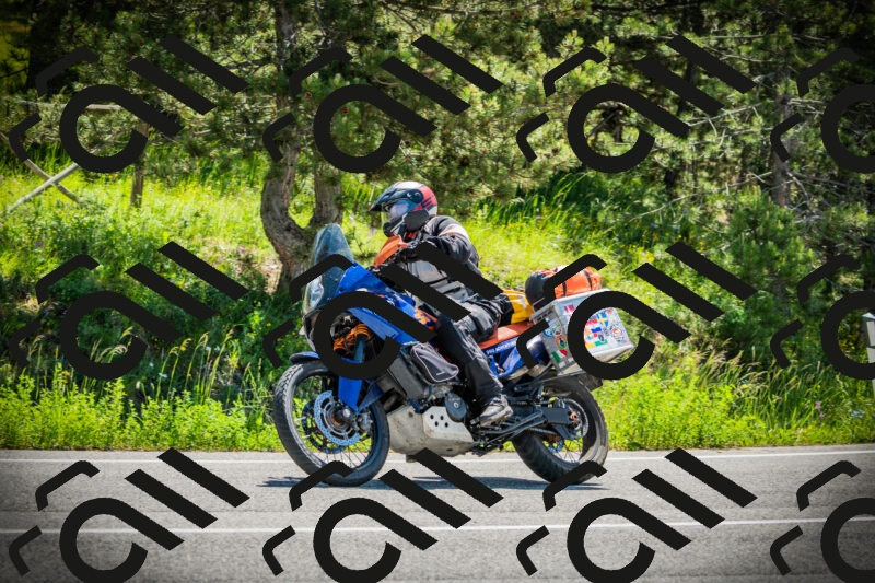 202506021113-DSC03372_c1_