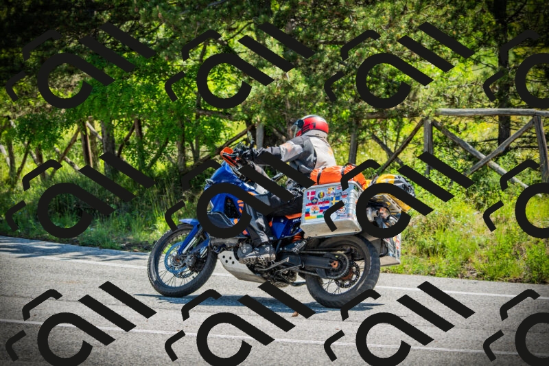 202506021113-DSC03373_c1_