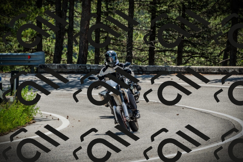 202506021113-DSC03375_c1_