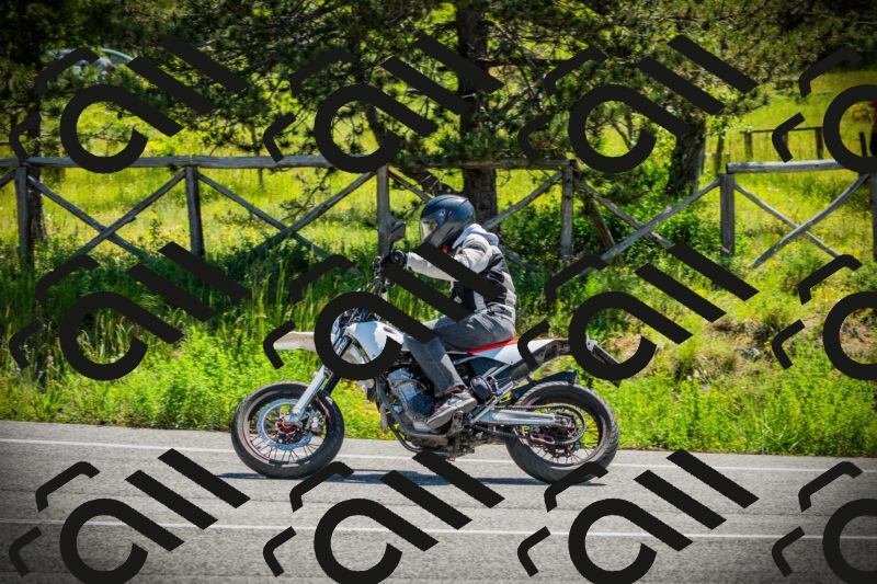 202506021113-DSC03378_c1_