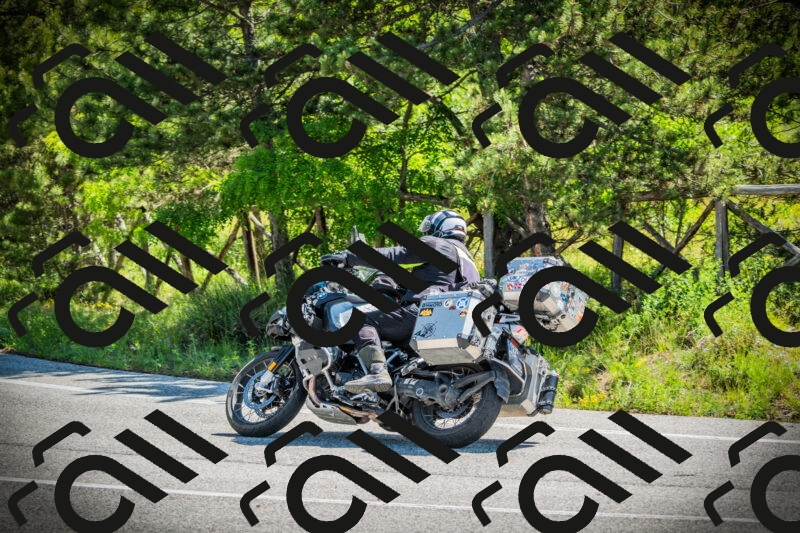 202506021113-DSC03380_c1_