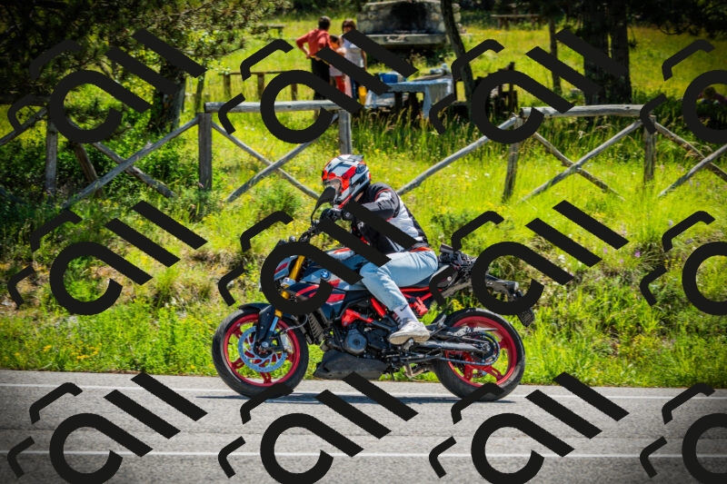 202506021113-DSC03384_c1_