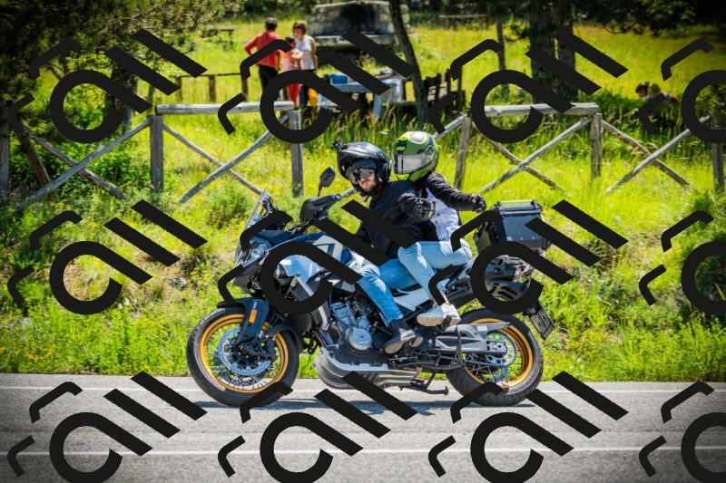 202506021113-DSC03385_c1_