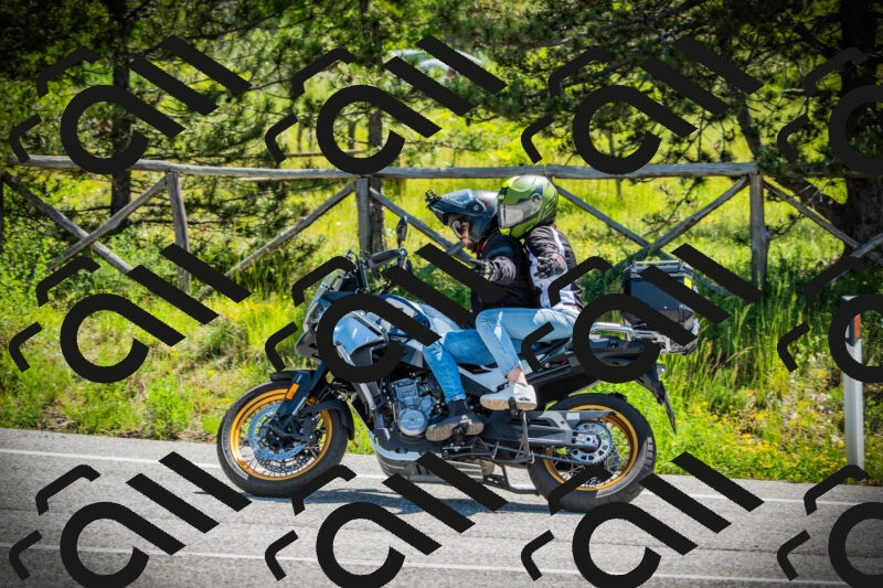 202506021113-DSC03386_c1_