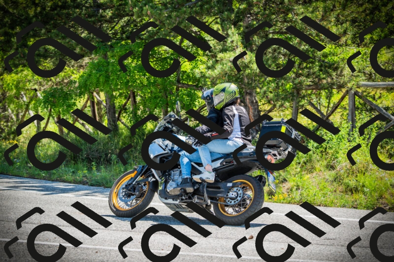 202506021113-DSC03387_c1_