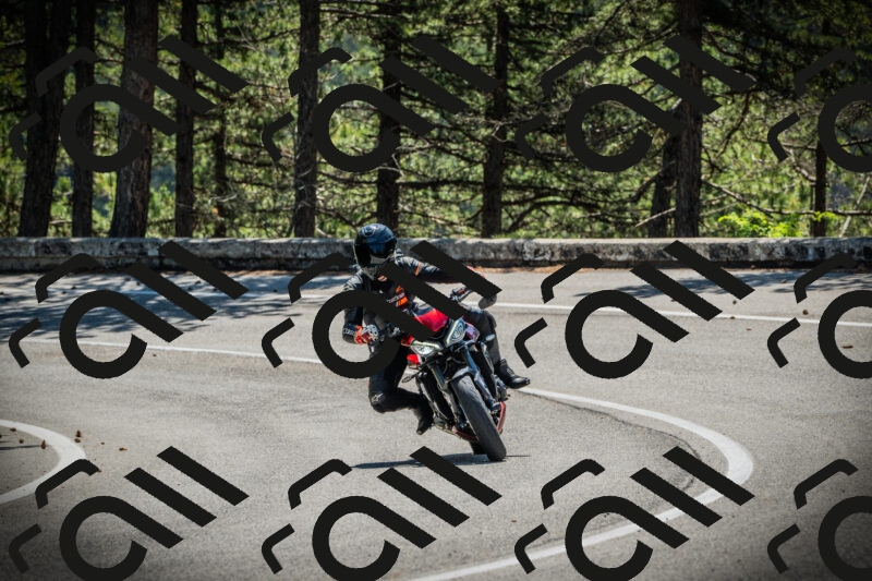 202506021113-DSC03388_c1_