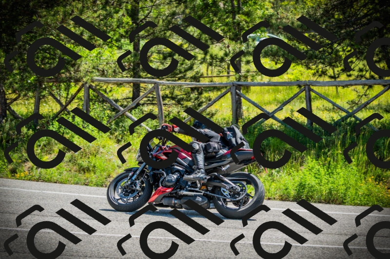 202506021113-DSC03391_c1_