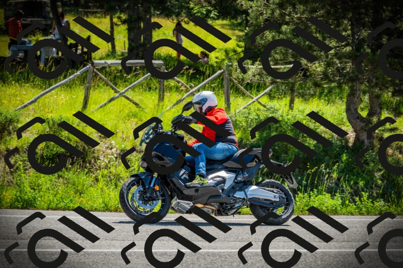 202506021113-DSC03394_c1_